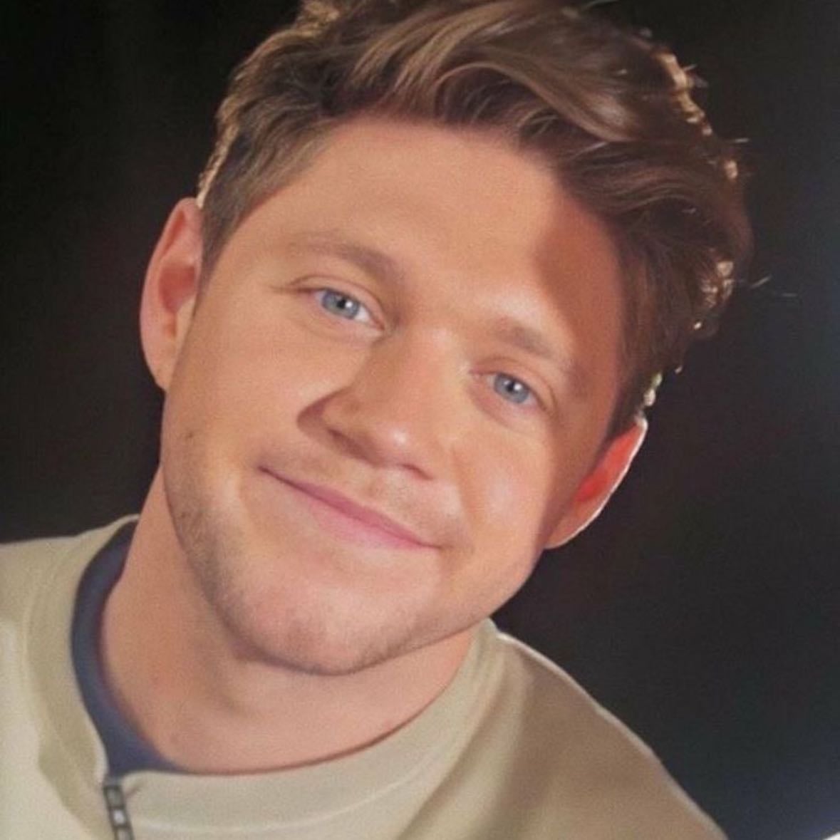 Niall Horan - Artist