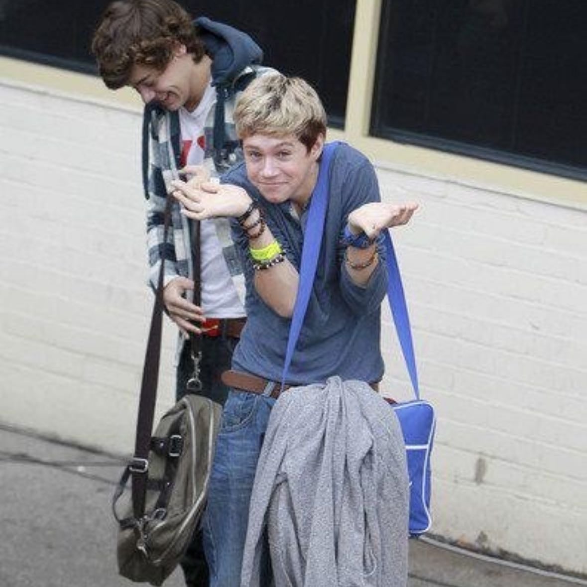 Meet niall horan - (Never gonna happen)