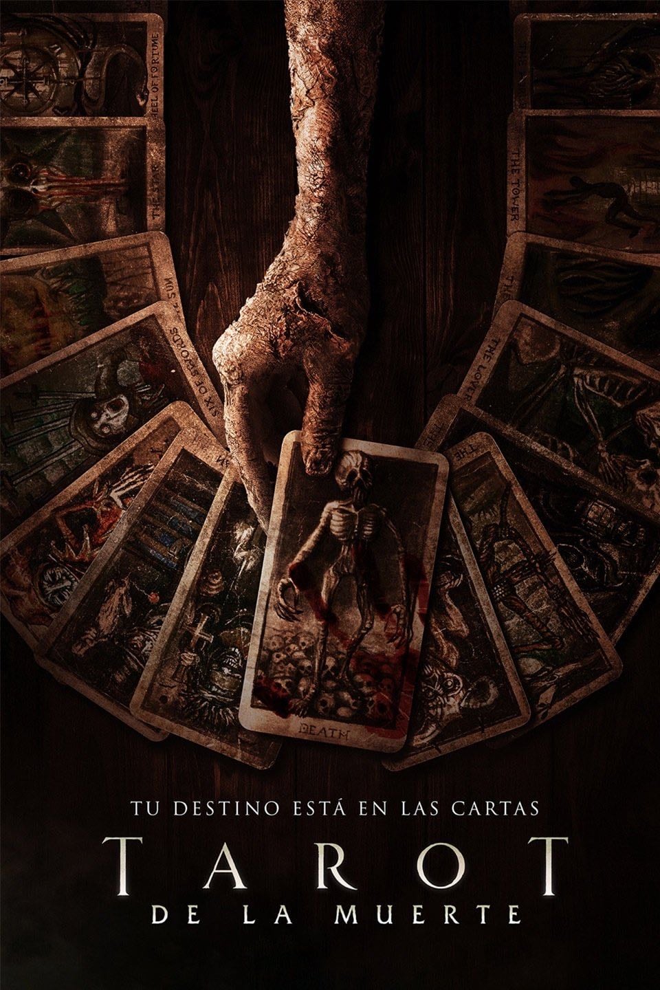 Tarot - Spenser Cohen · 2024