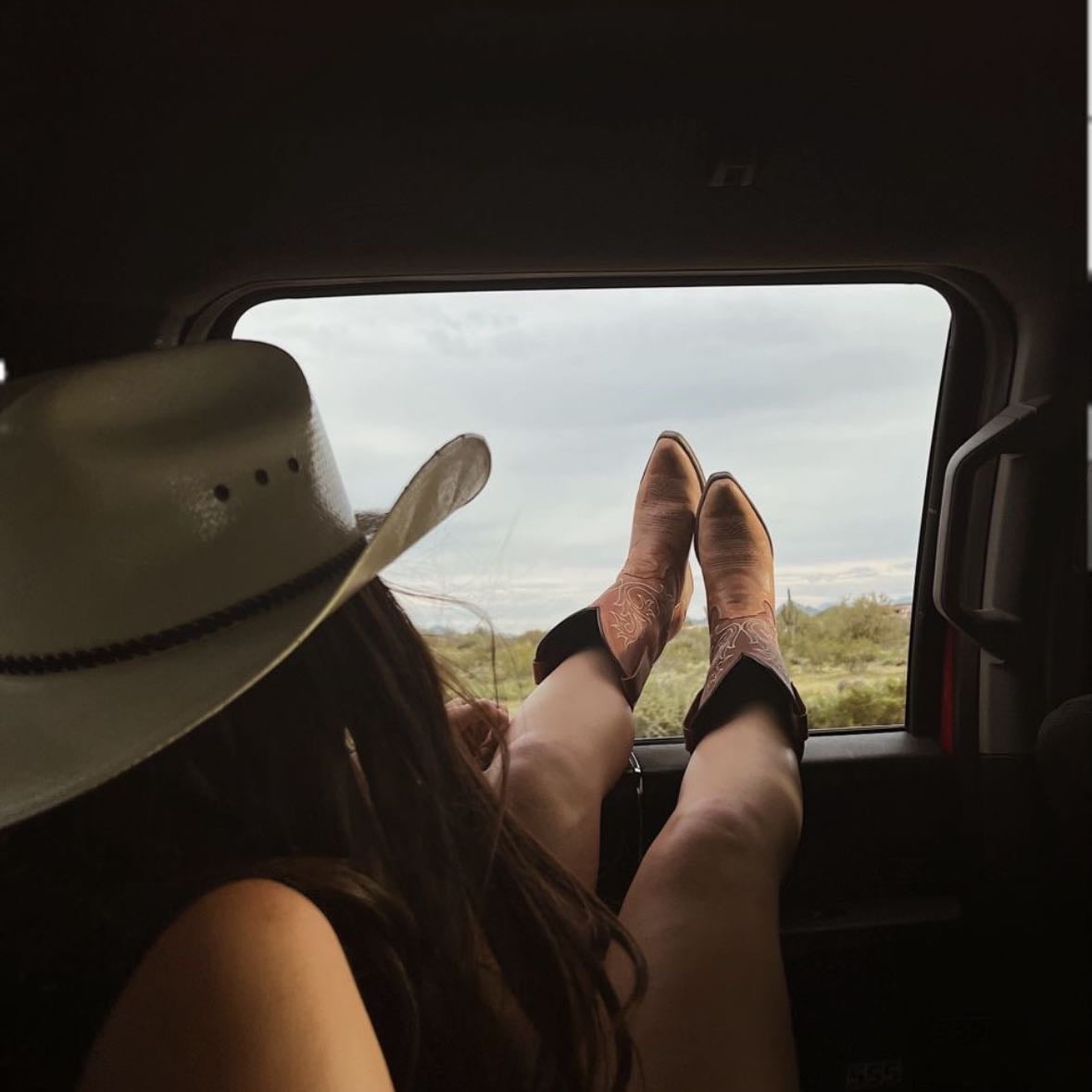 cowboy like me - Song · Taylor Swift