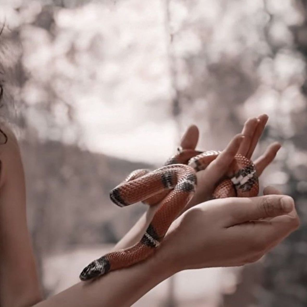 The Hunger Games: The Ballad of Songbirds & Snakes - I will never get over this movie