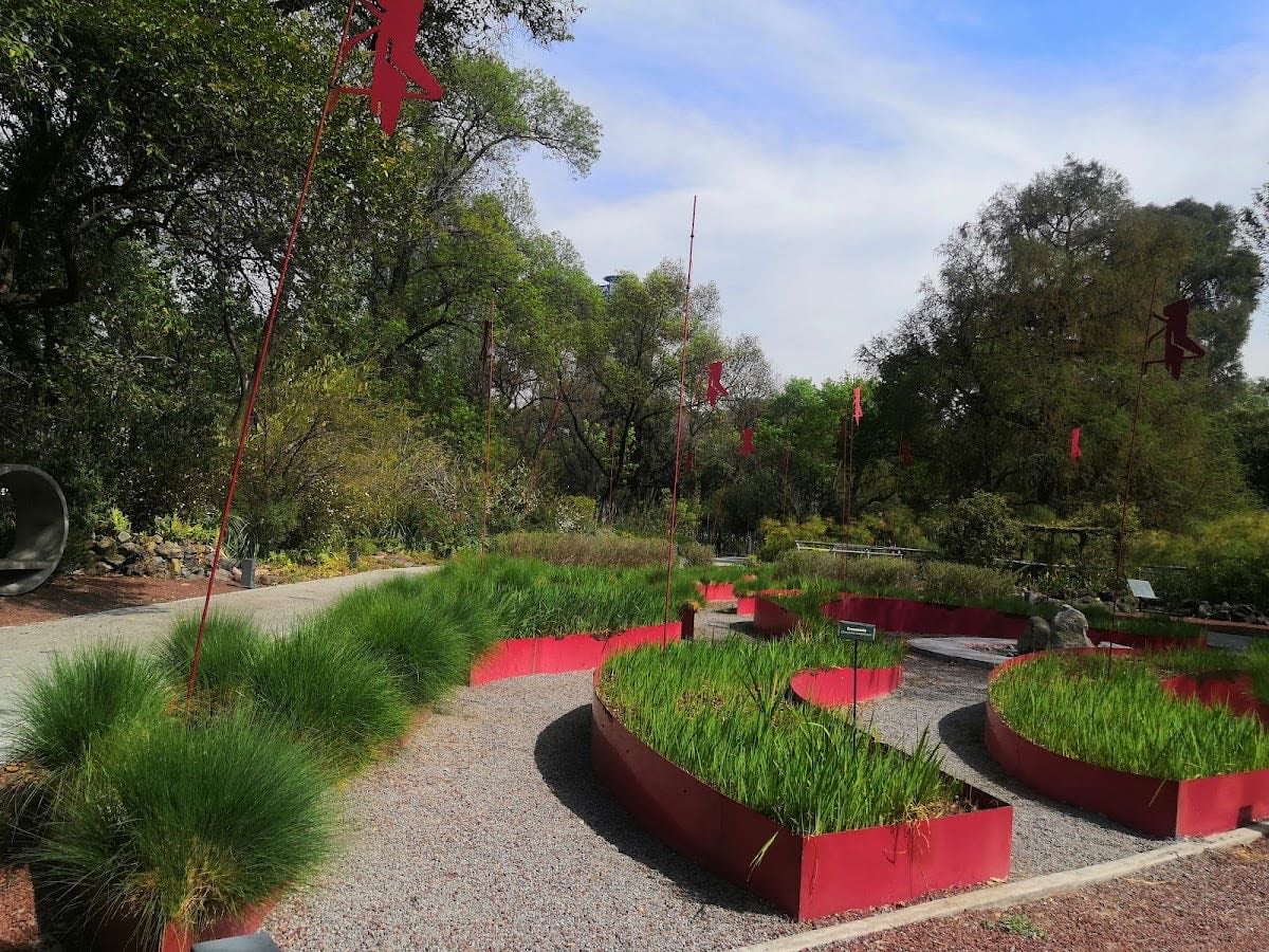Jardín Botánico del Bosque de Chapultepec