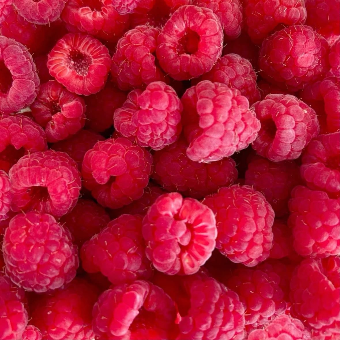 raspberries - the best fruit