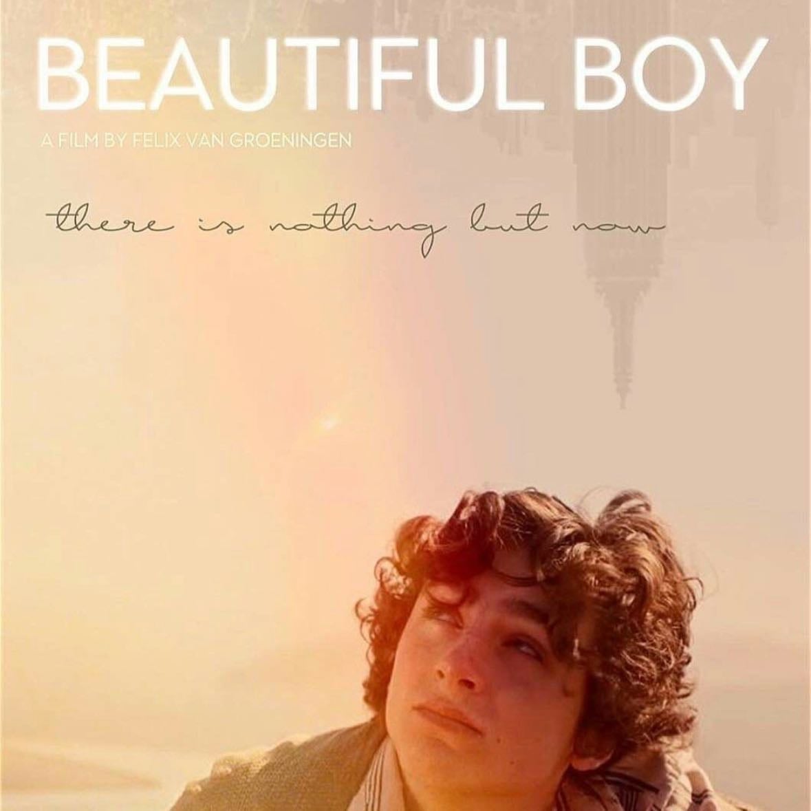 Beautiful Boy - Felix van Groeningen · 2018