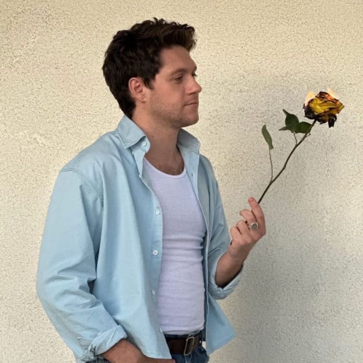 nice to meet ya - Song · Niall Horan