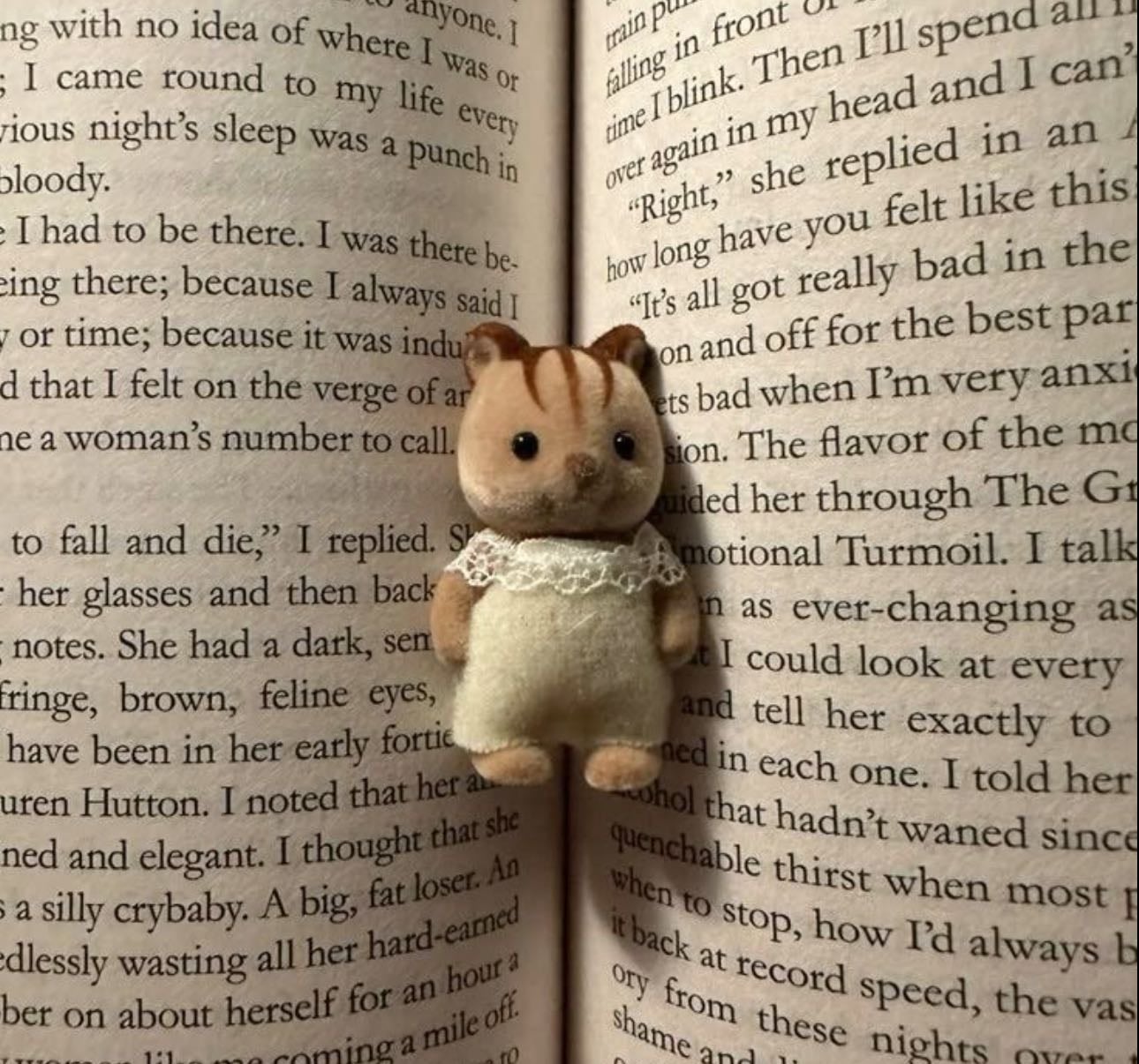 Sylvanian Families >w<♡