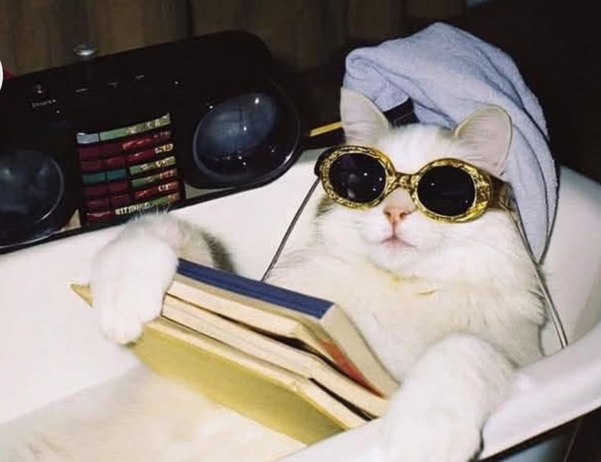 Livros que eu quero 🙃