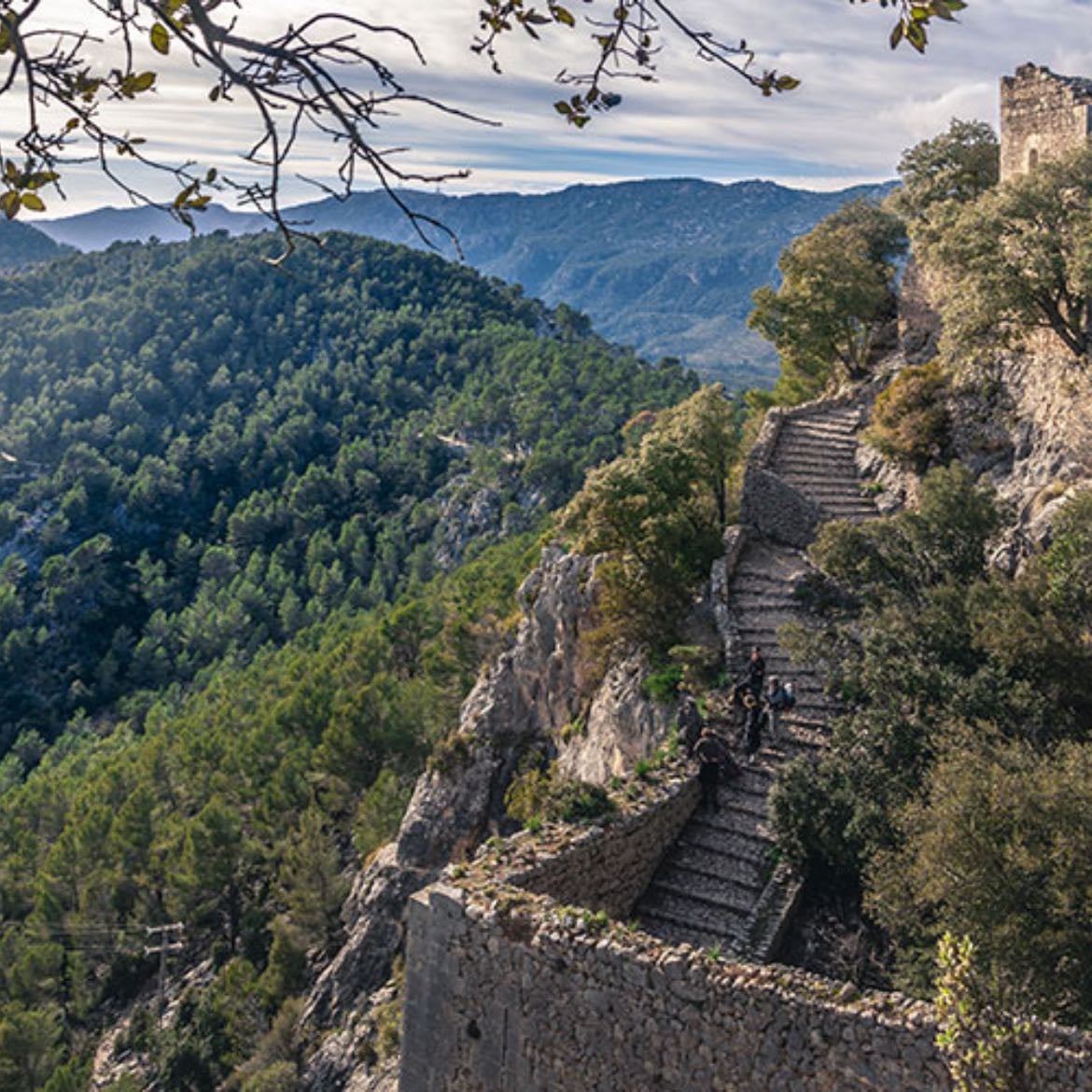Castell d'Alaró