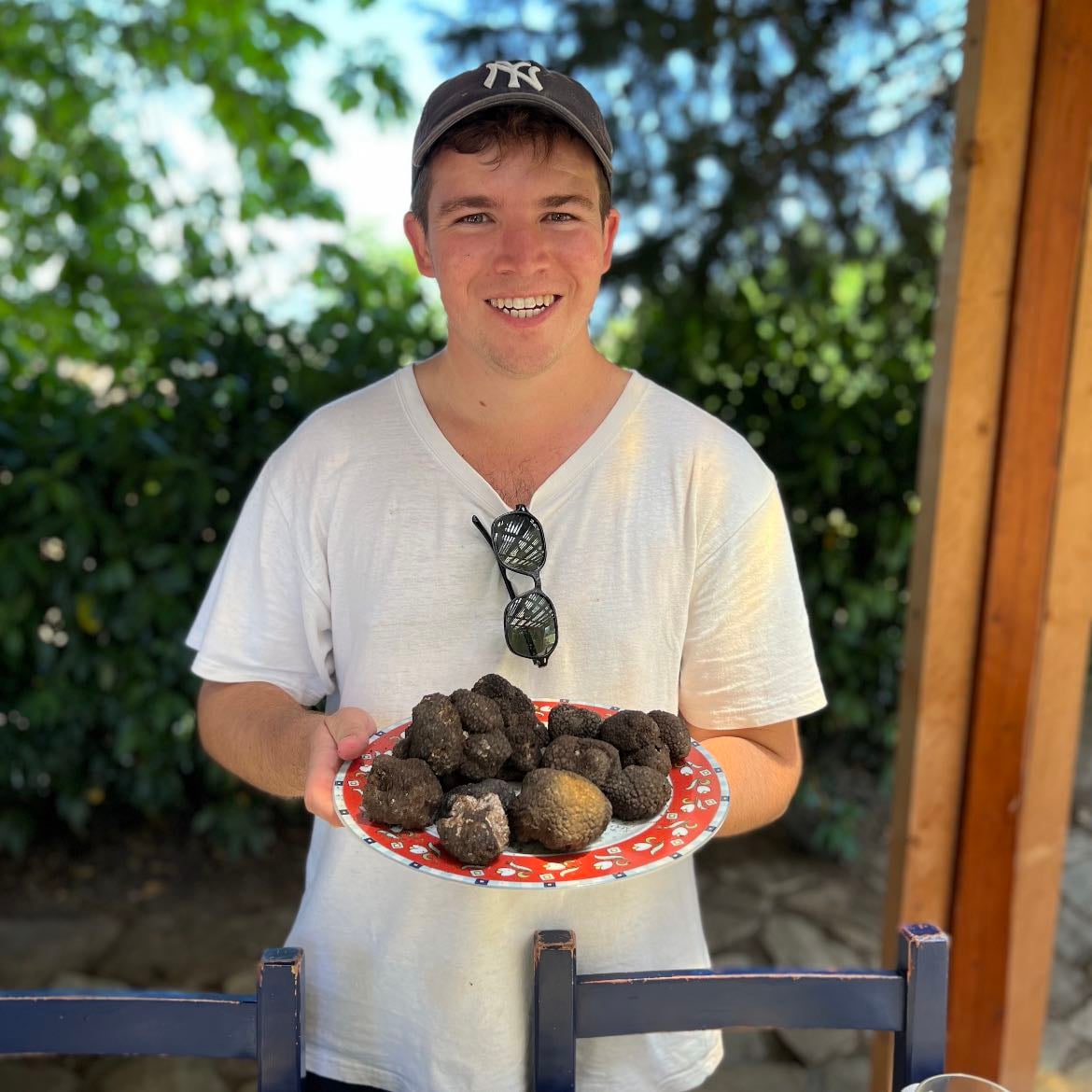 Truffle hunting with dogs