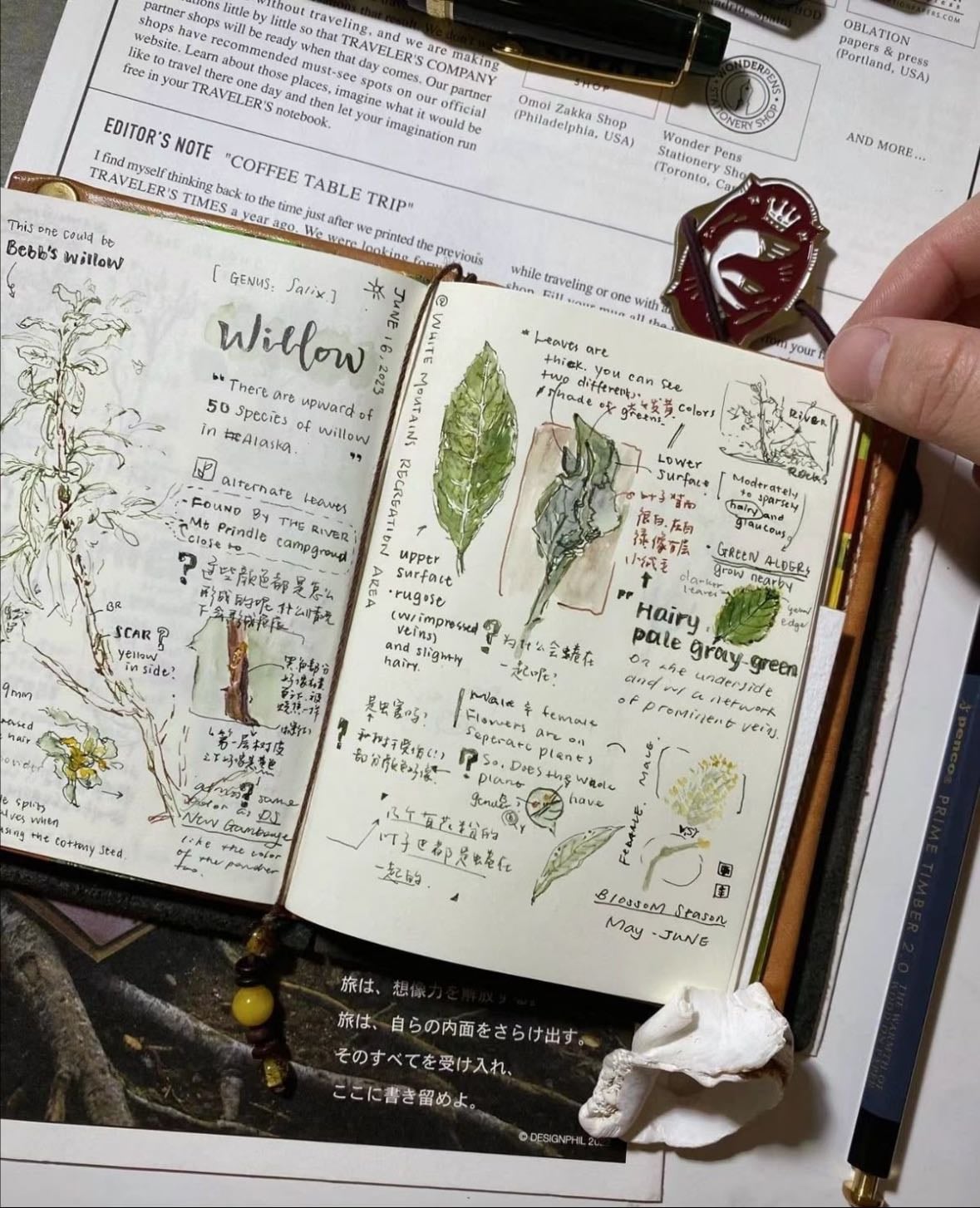Research Journal - Es un diario en el cual apuntarás una investigación de todos aquellos temas que te apasionen o causen curiosidad, puede ser de uno solo o de muchos, como por ejemplo una libreta donde solo hable de las plantas y sus propiedades.