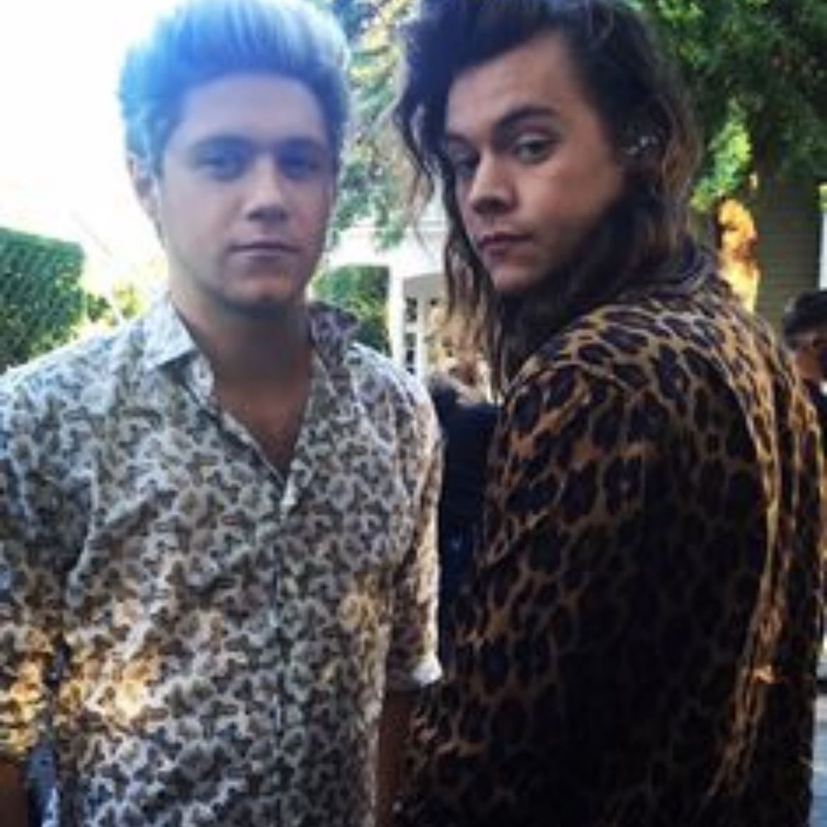 Narry 🇮🇪💚