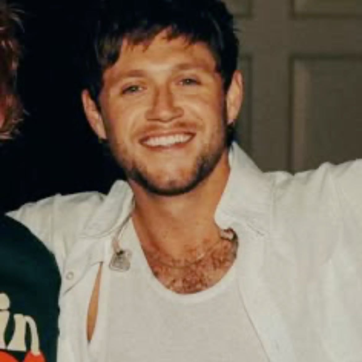Niall Horan - Artist