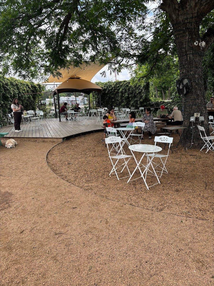 Desnudo Coffee: East Austin - Coffee!