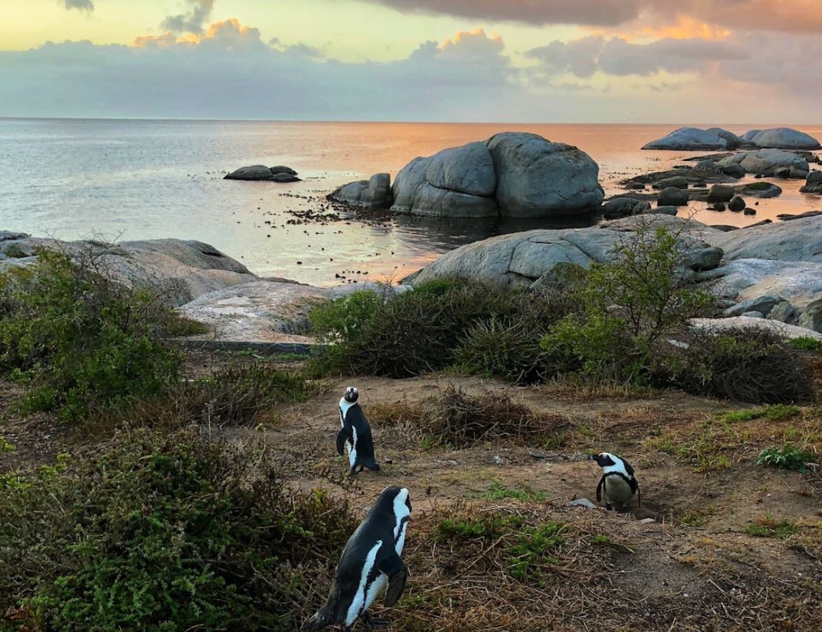Cape Town