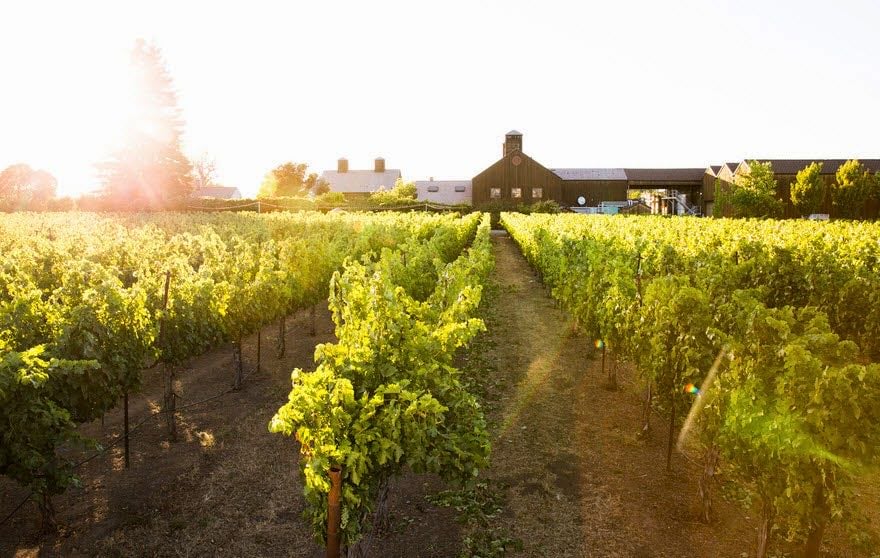 Turnbull Wine Cellars