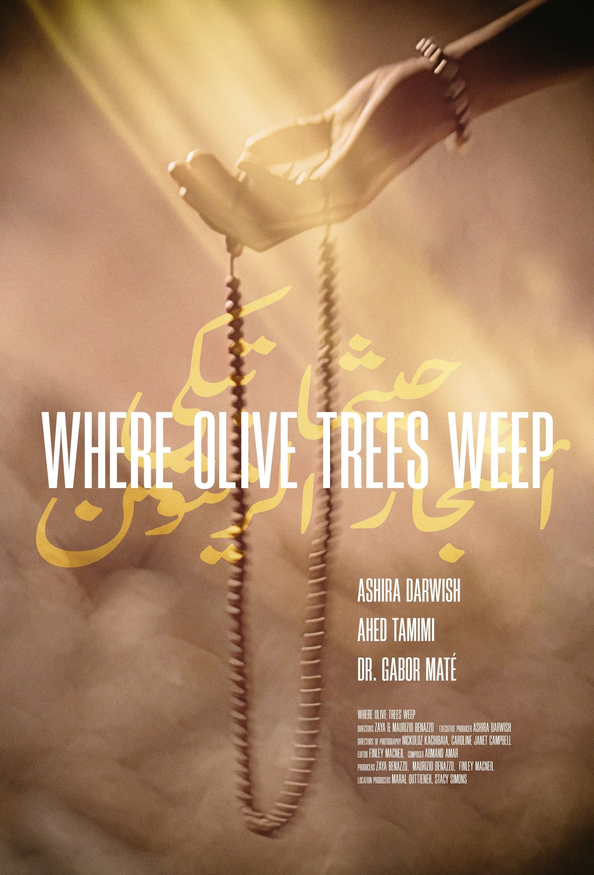 Where Olive Trees Weep - Zaya Benazzo · 2024