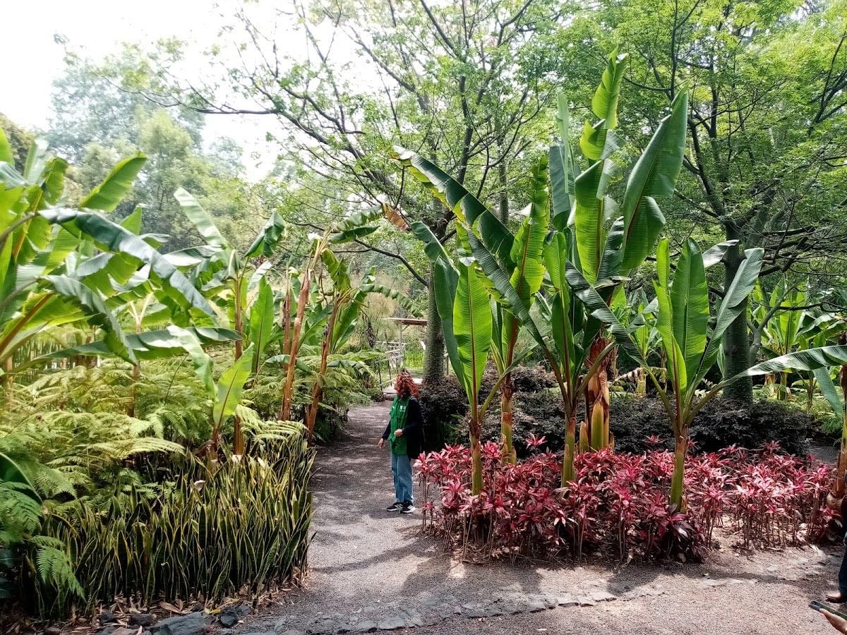 Jardín Botánico del Bosque de Chapultepec