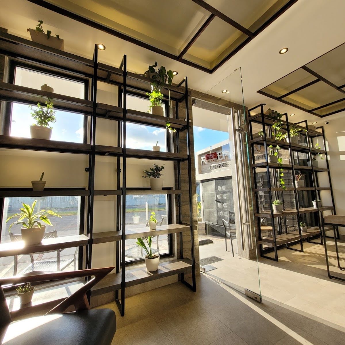 Regenerativo Coffee & Wellness Bar