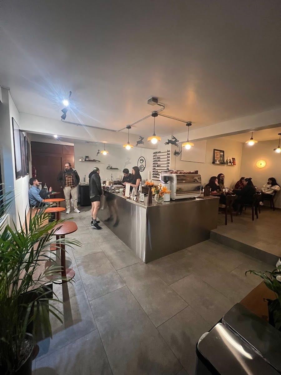 Náufrago Café