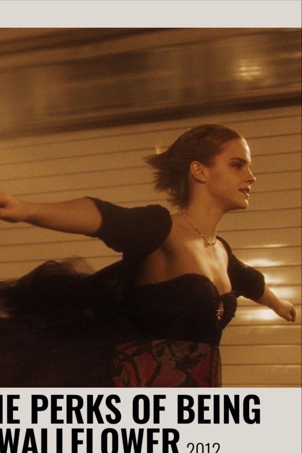 the perks of being a wallflower - Stephen Chbosky · 2012