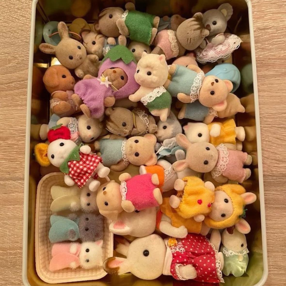Sulvanian family’s - These little critters are so freaking cute