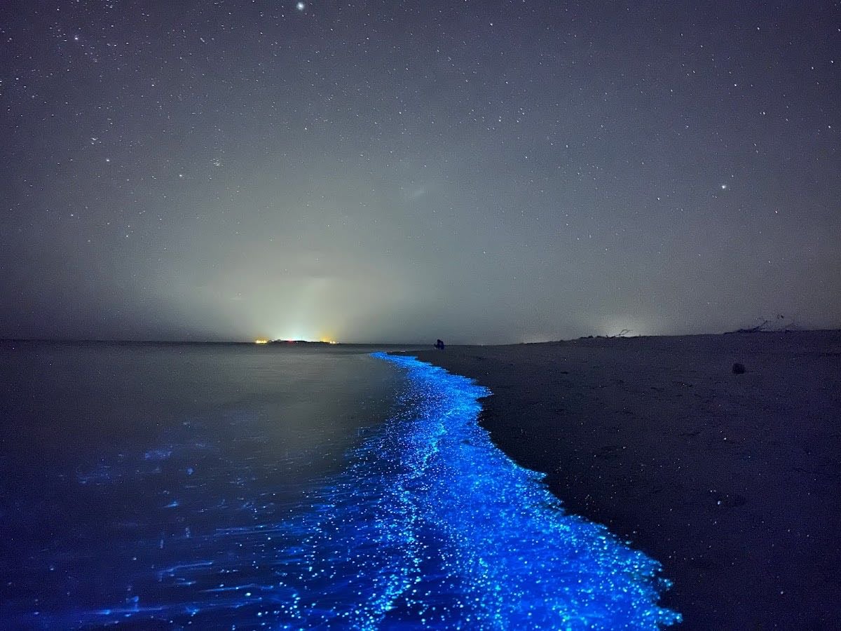 Sea of Stars