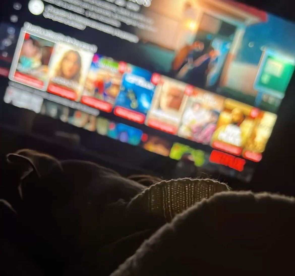 Pelis/Series 🍿