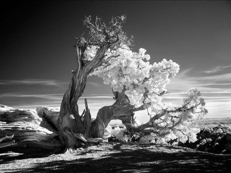 Mitch Dobrowner - EUA