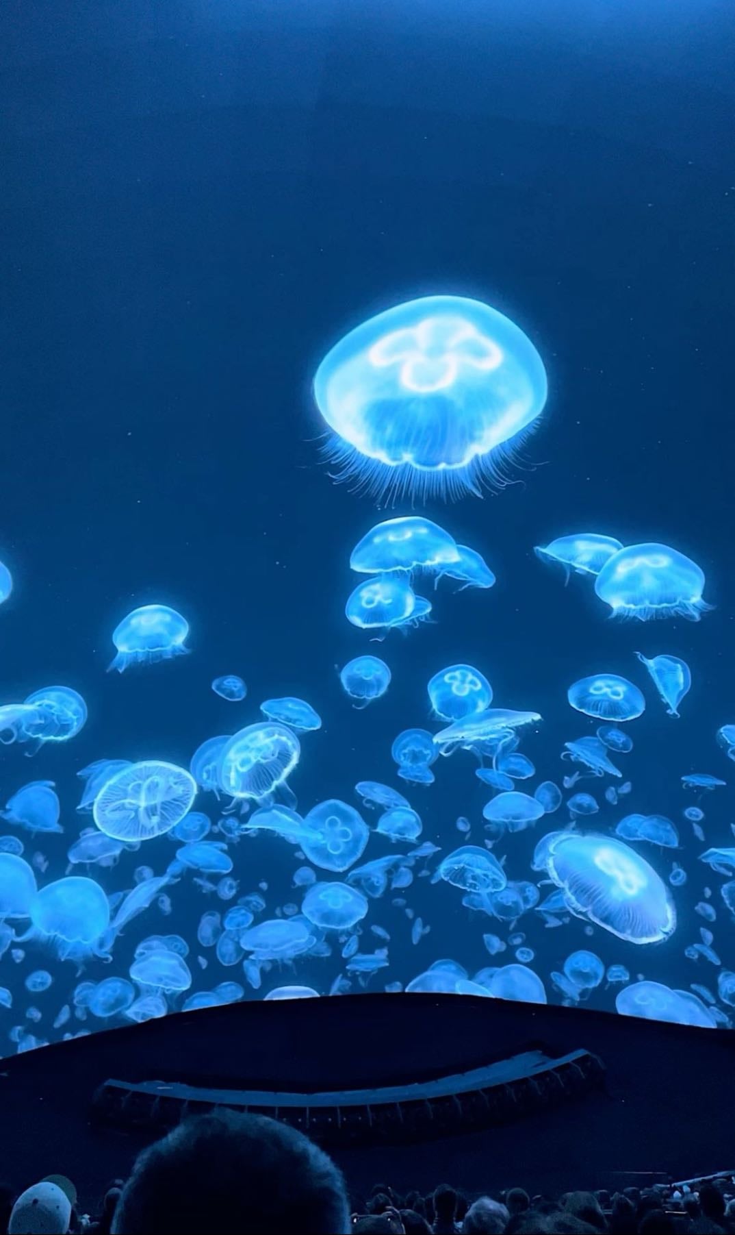 Watch something in The Sphere - maybe something connected with water, avatar??