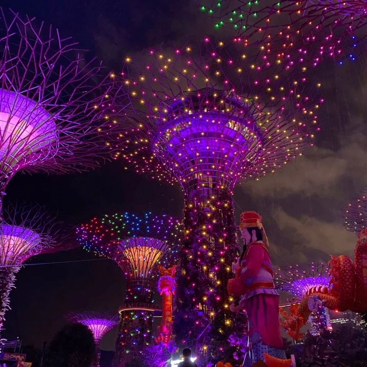 Gardens by the Bay at night