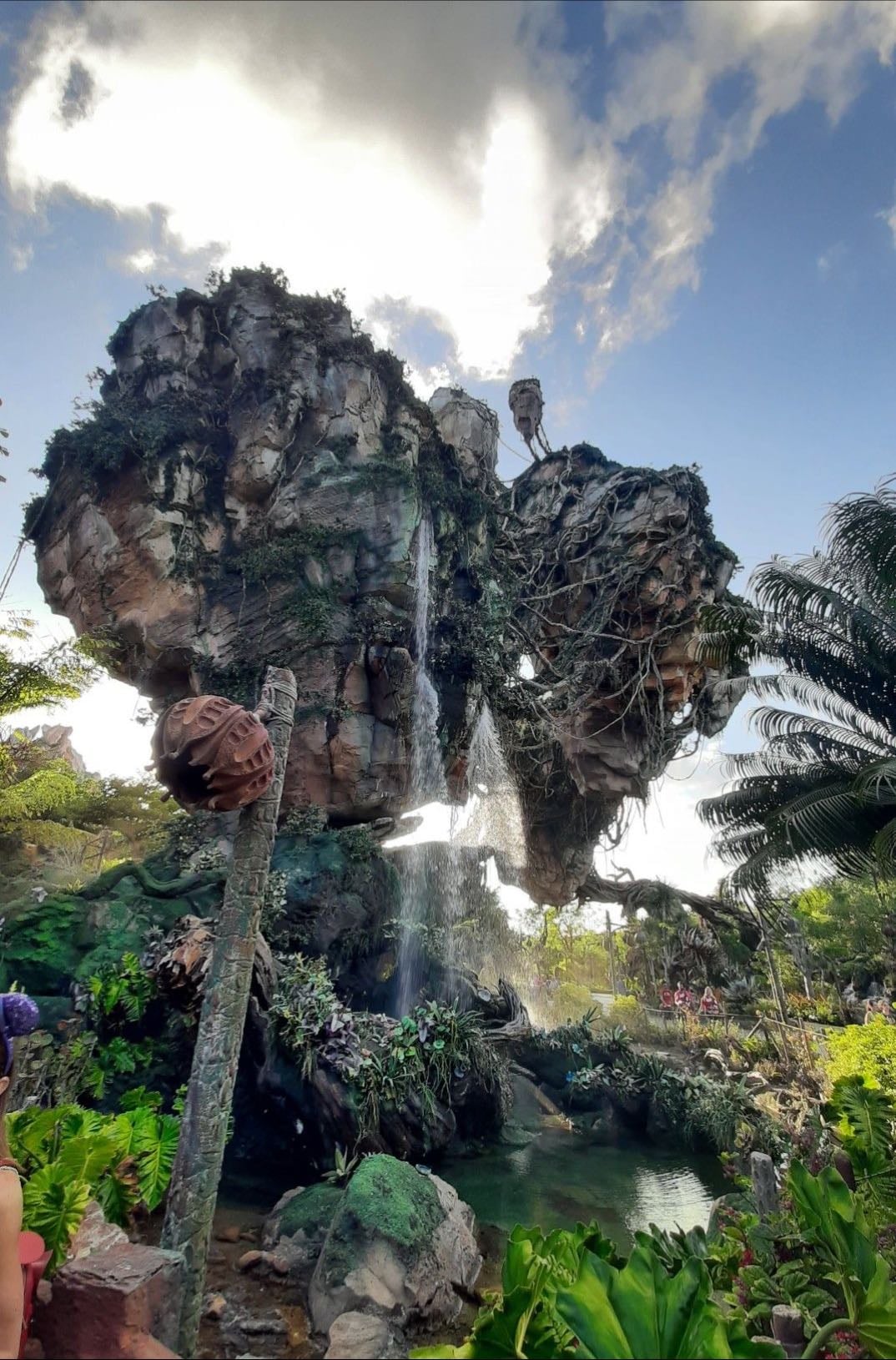 Disney's Animal Kingdom Theme Park - i would die to be there