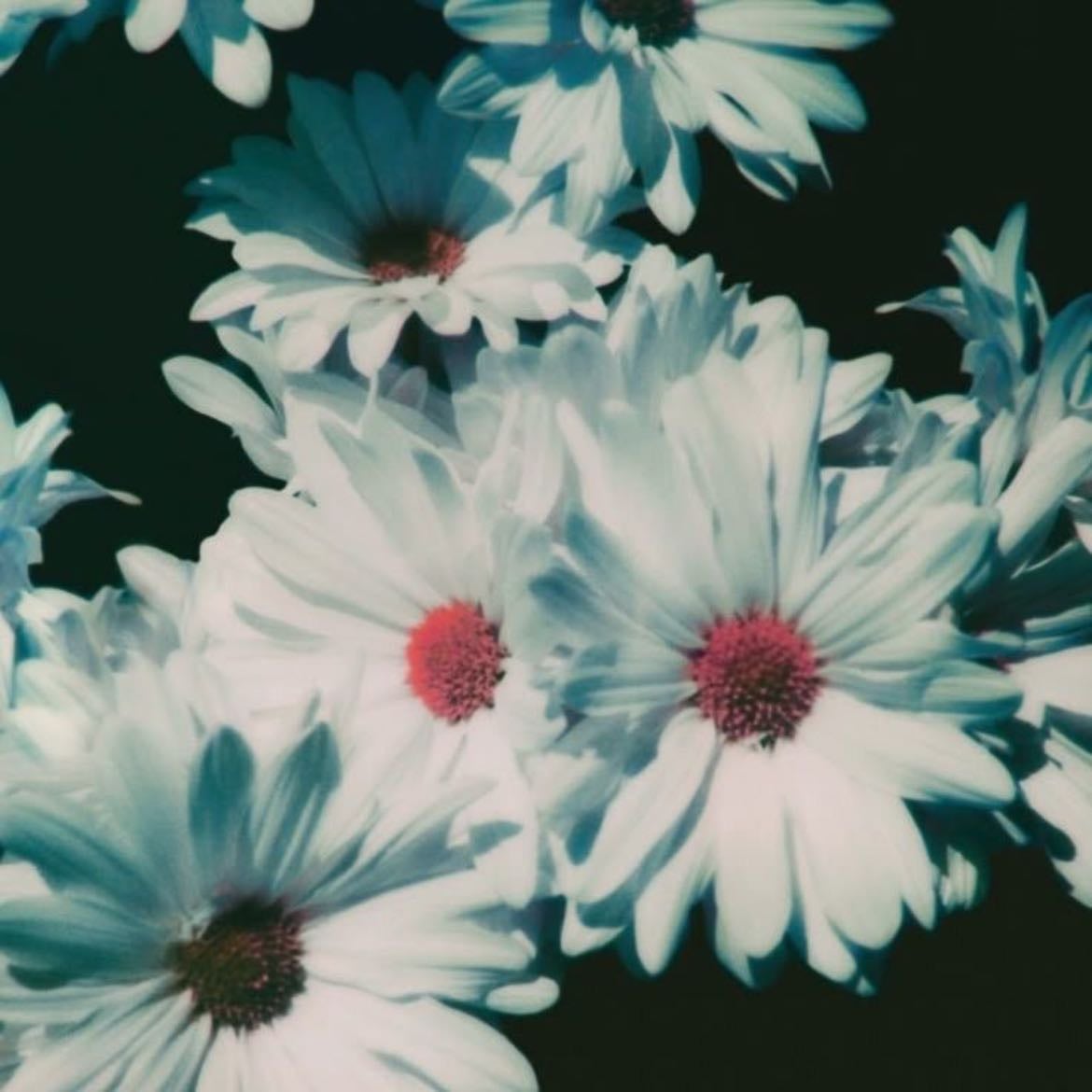 When The World Was At War We Kept Dancing - Song · Lana Del Rey