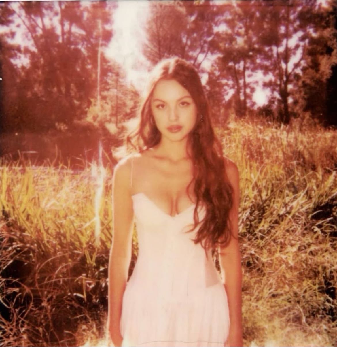 Can’t Catch Me Now - from The Hunger Games: The Ballad of Songbirds & Snakes - Song · Olivia Rodrigo