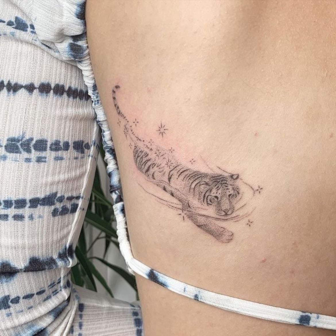 ⋆˚🐾˖° - tigers have been my favourite animal since i could remember also my favourite princess - jasmine owns one