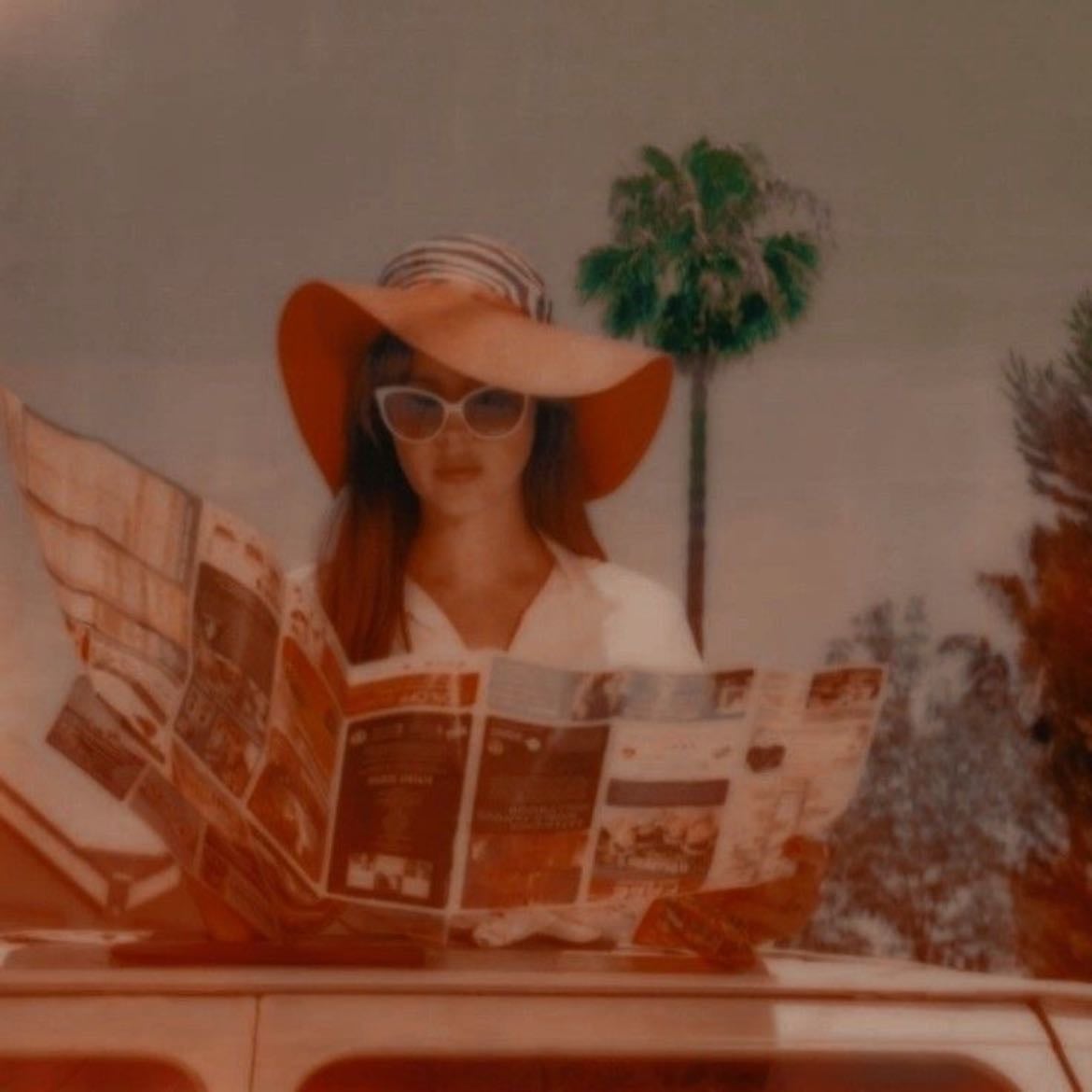 Swan Song - Song · Lana Del Rey
