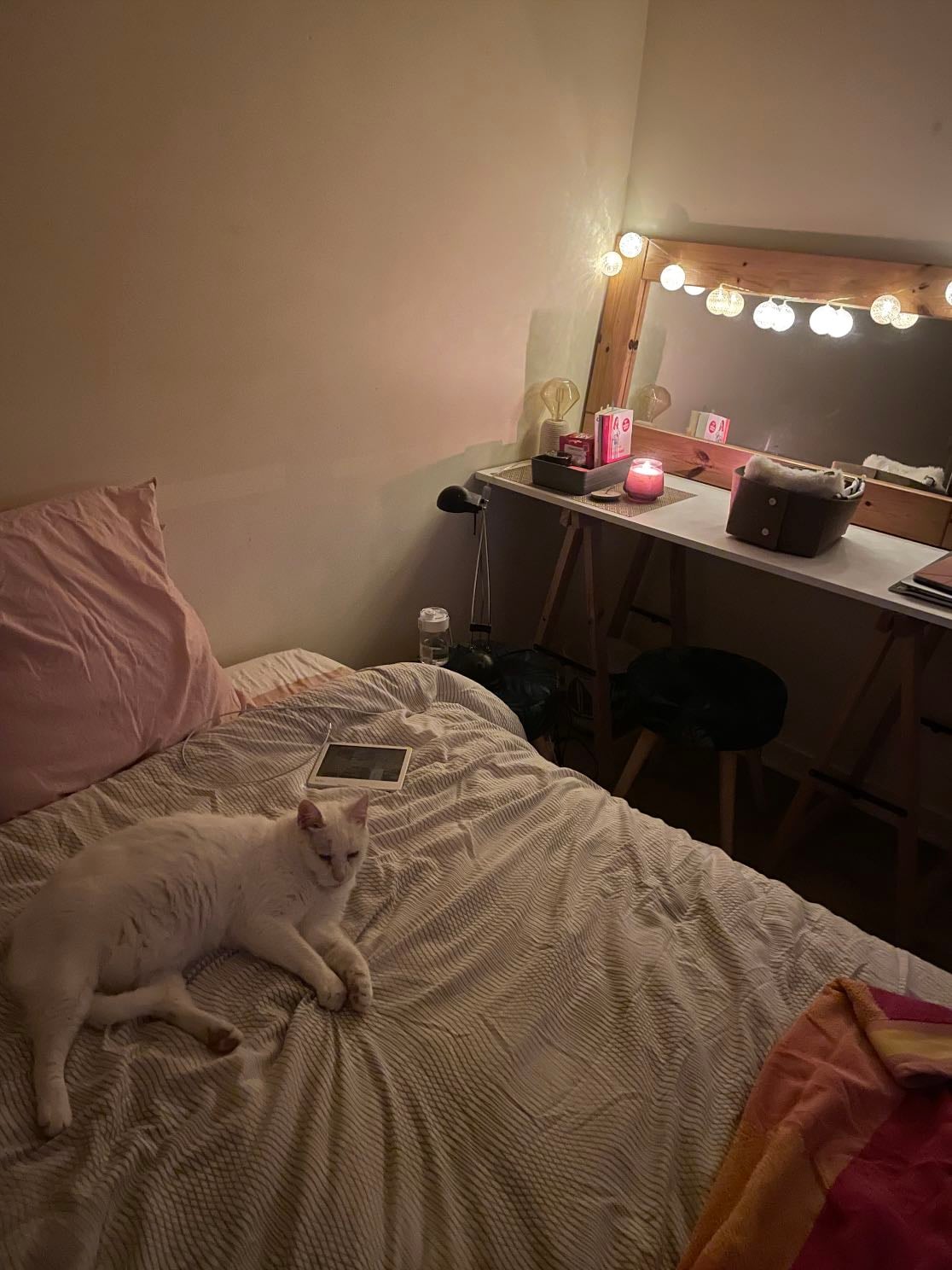 fresh sheets