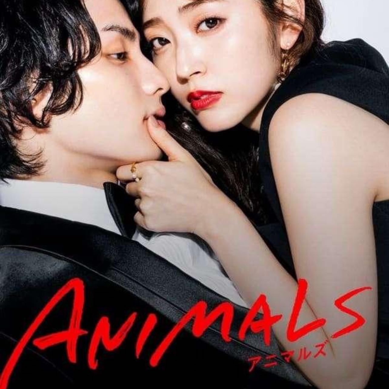 Animals - 2022 💛