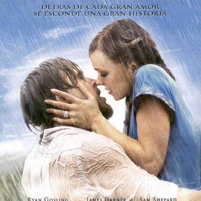 The notebook - Nick Cassavetes · 2004