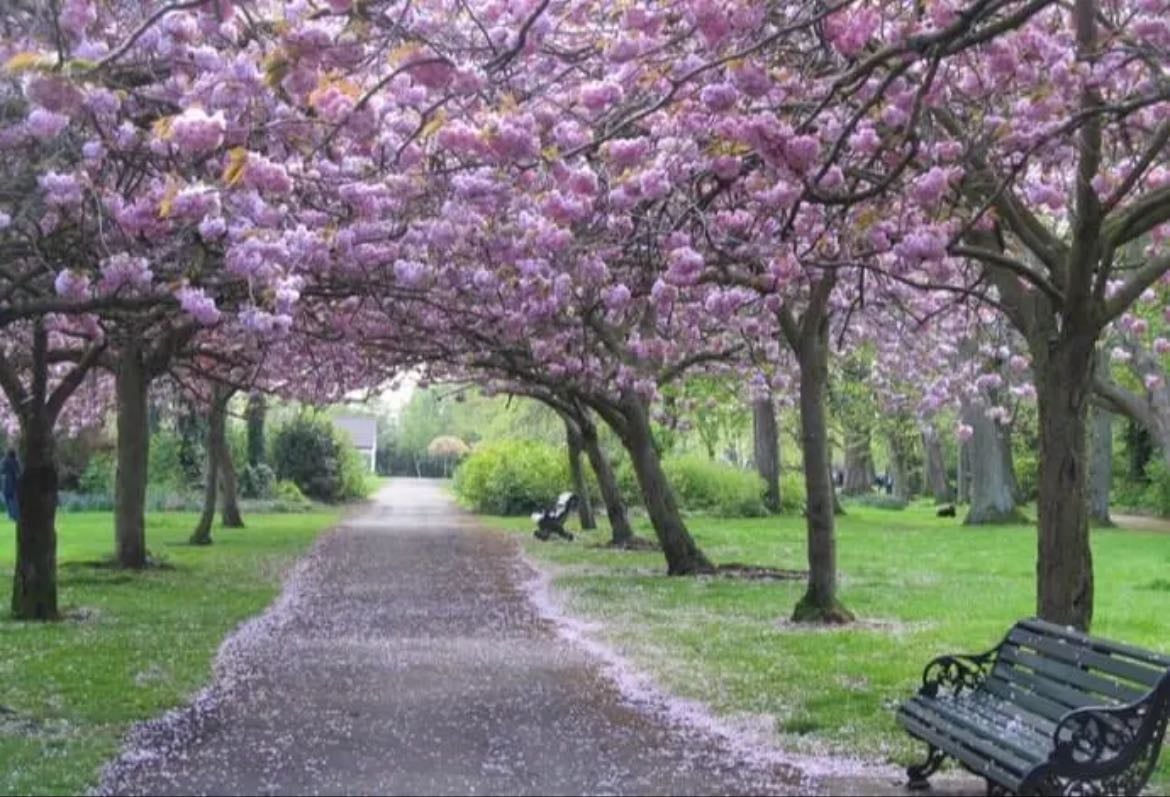 Herbert Park