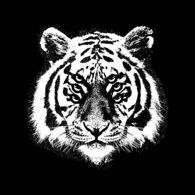 Royal Blood - Artist