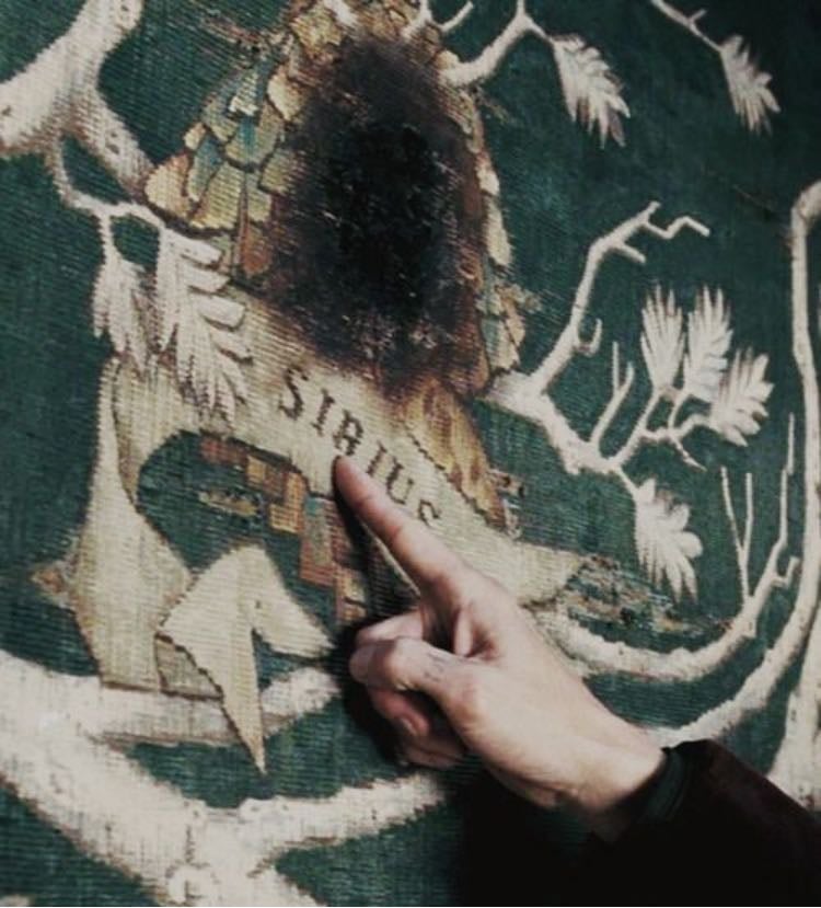 sirius black - -hp