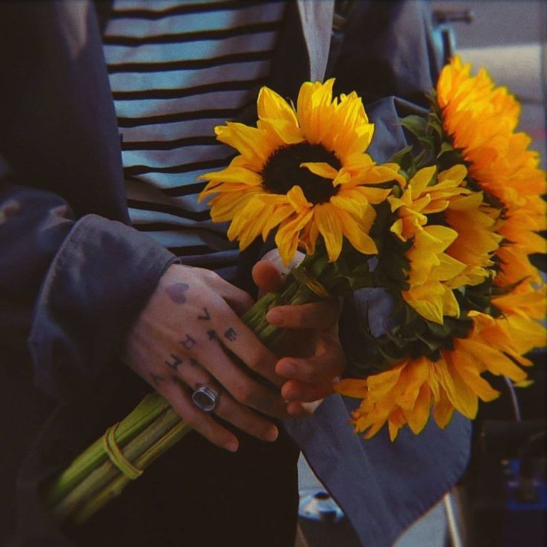 the αrt of bαllet 🩰 🌻 - “ Quando um campeonato cultural - valendo uma vaga na maior academia artística do mundo- é anunciado, Jimin se vê obrigado a fazer dupla com Jungkook, o aluno arrogante do curso de artes. “