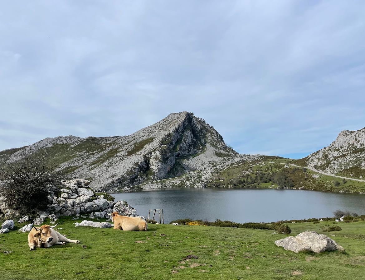 Asturies - Places hypelist by Ainhoa Basterrechea Miguel