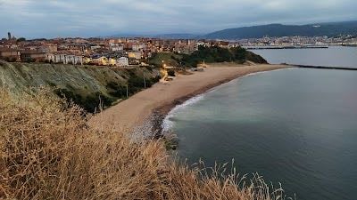 Arrigunaga