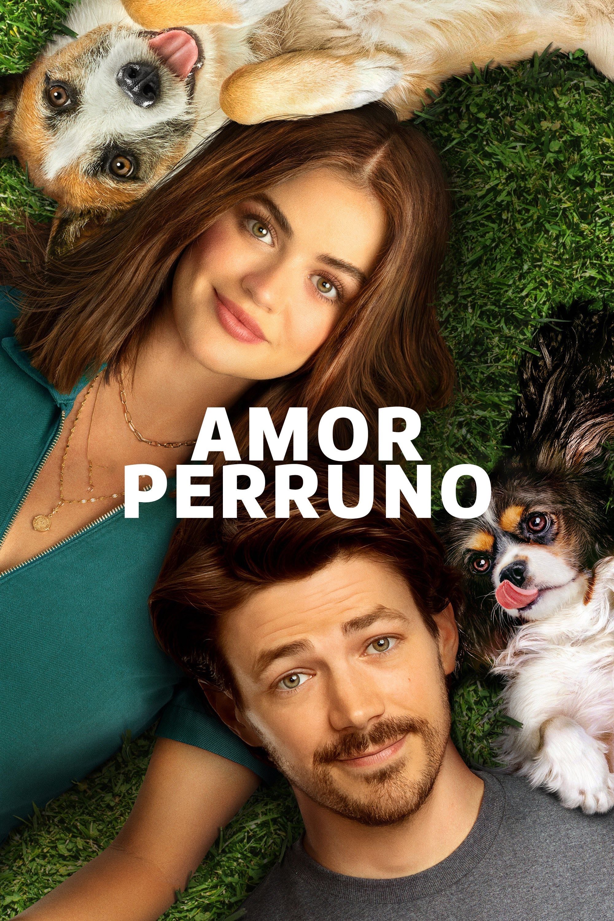 Puppy Love - Richard Alan Reid · 2023