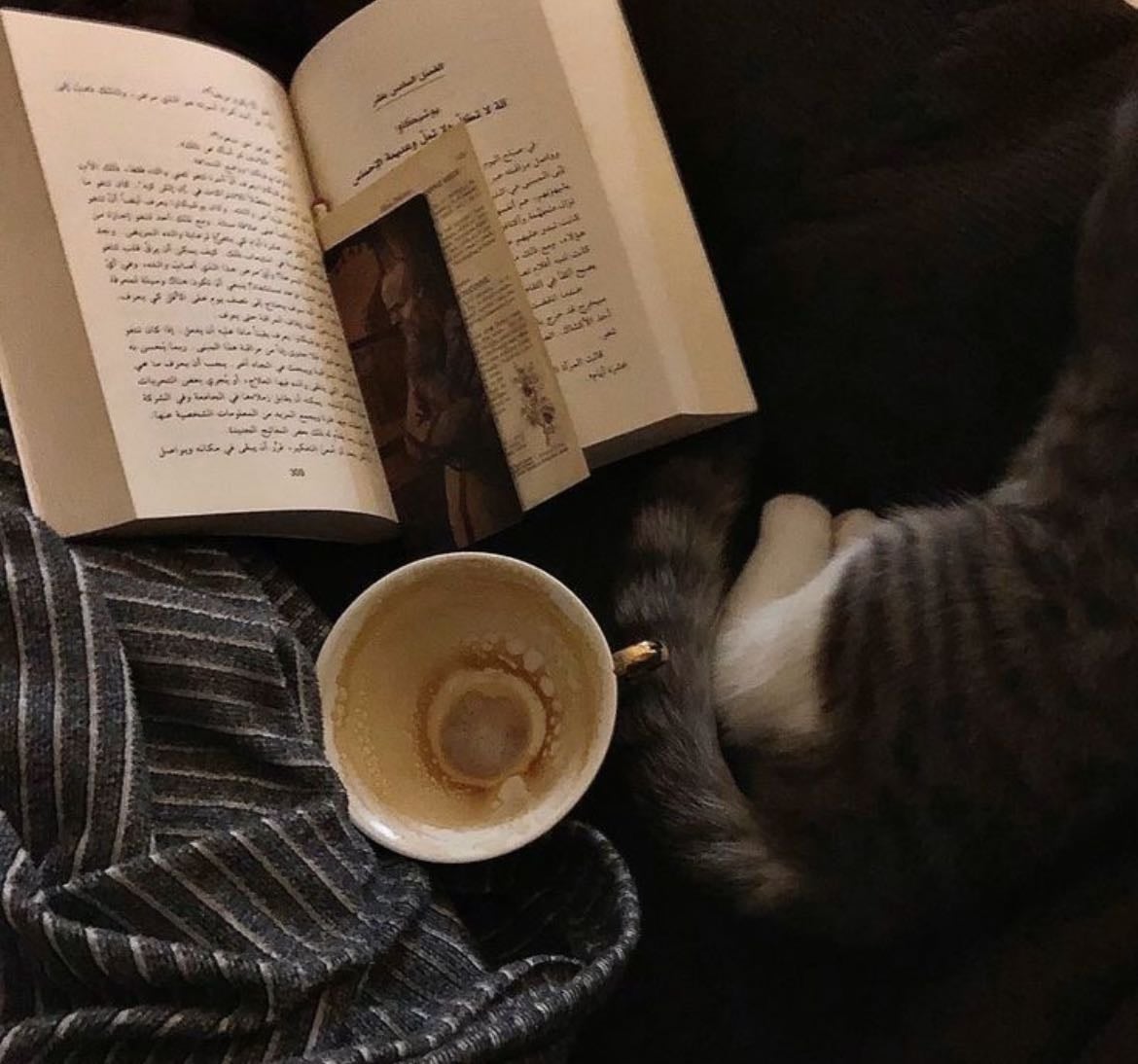 reading around the world - Books hypelist by Bela