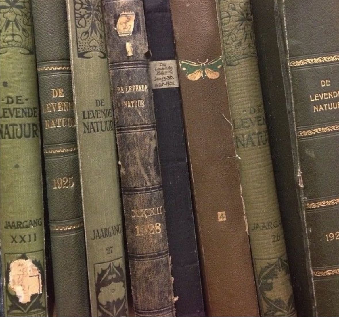 favourite books ⭑.ᐟ - Books hypelist by freya 𖦹ׂ ₊˚⊹⋆