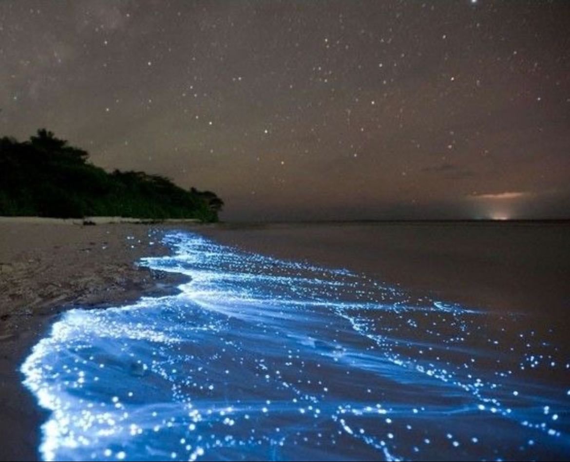 Sea of Stars