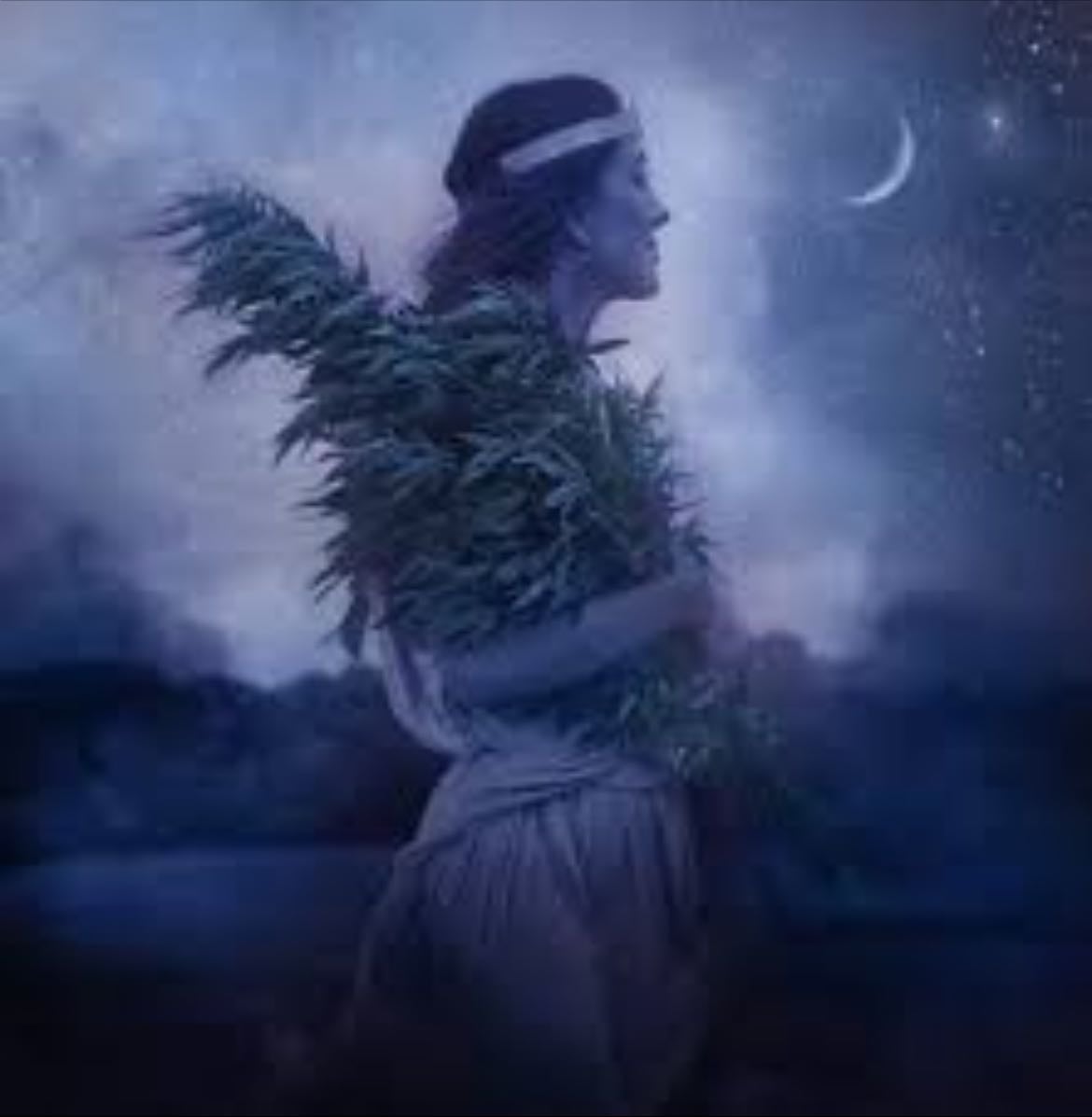 Pheobe - The Greek Titan goddess of prophecy and oracular intellect
Roman form: Pheobe