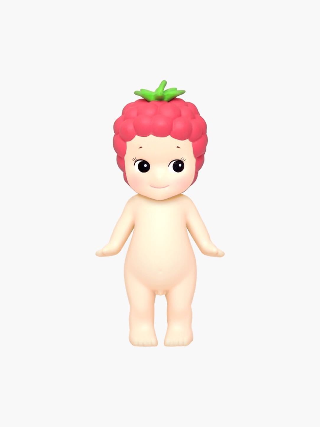 raspberry - fruit series